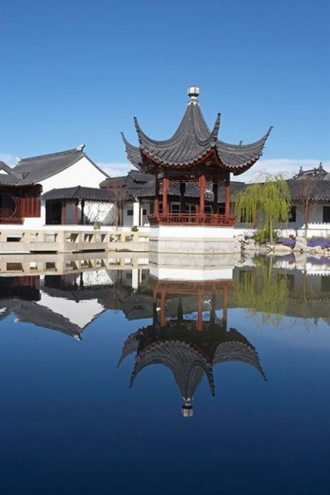 Chinese Garden Dunedin Otago South Island New Zealand Canvas Art - David Wall DanitaDelimont (12 x 17)