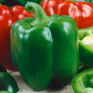 Chinese Giant Sweet Pepper Seeds - 300 Mg Packet ~50 Seeds - Non-GMO, Heirloom - Vegetable Garden - Capsicum annuum