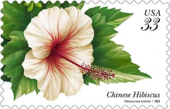 Chinese Hibiscus Canvas Art - US POSTAL SERVICE (12 x 18)
