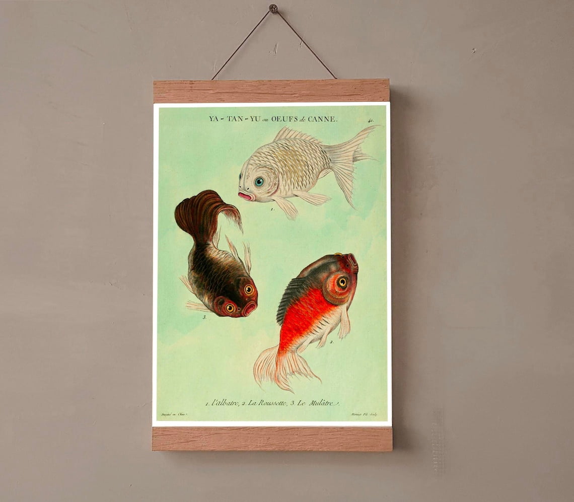 Chinese Koi Fish Wall Art Print, Ya Tan Yu Maritime Illustration And ...