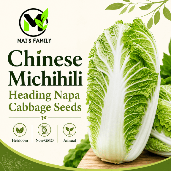 Chinese Michihili Napa Cabbage Seeds, 5,000 Seeds, Heirloom Non-GMO Asian Vegetable for Kimchi & Stir Fry by Mai's Family