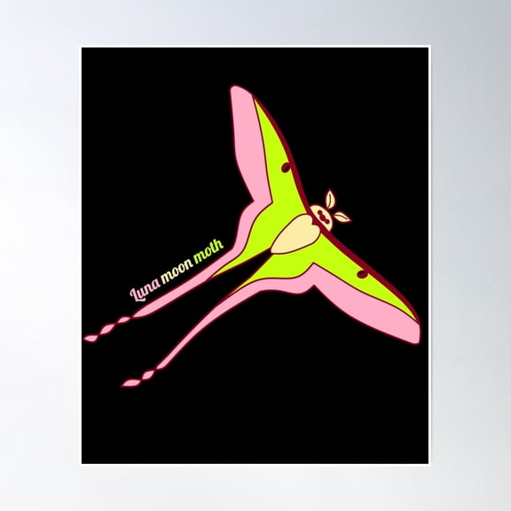 Chinese Moon Moth Luna /Chinese Luna Moon Moth Graphic Design In Color Poster Wall Art, Modern Wall Decor, 8x12 UNFRAMED