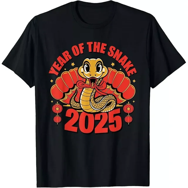 what chinese new year is it 2025