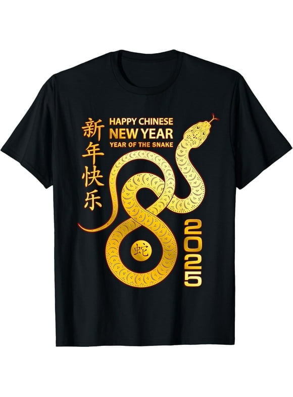 2025 chinese new year graphics