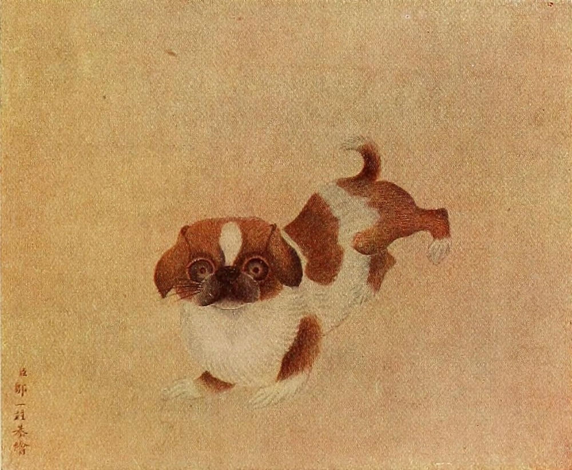 Chinese Pug Dogs of China & Japan in Nature & Art 1921 Canvas Art - Tsou Yi-Kwei (24 x 36)