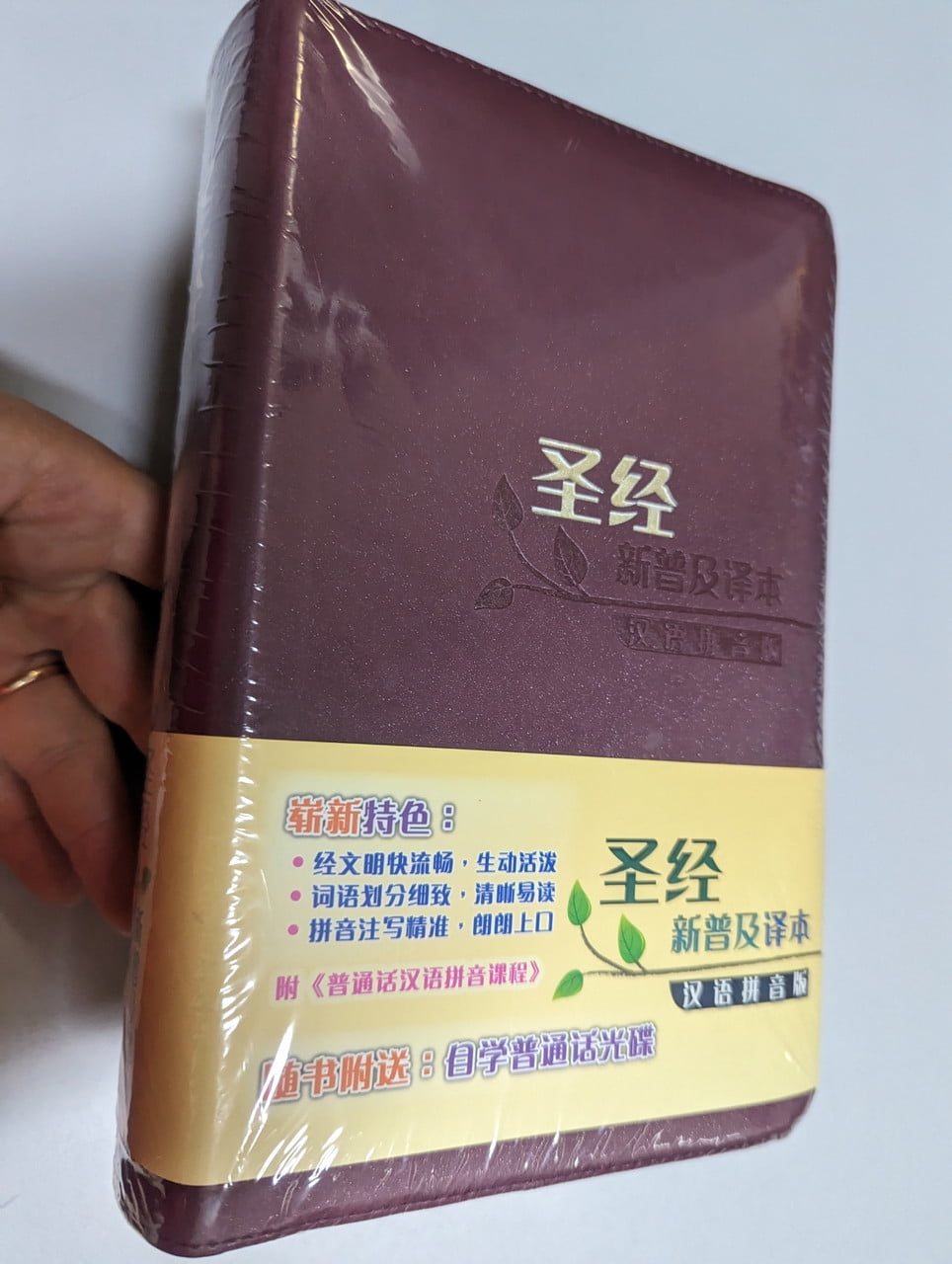 Chinese Simplified Bible - New Universal Translation