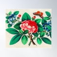 thumbnail image 1 of Chinese Vintage Botanical Art Poster Wall Art, Modern Wall Decor For Living Room Bedroom, 24x36 UNFRAMED, 1 of 2