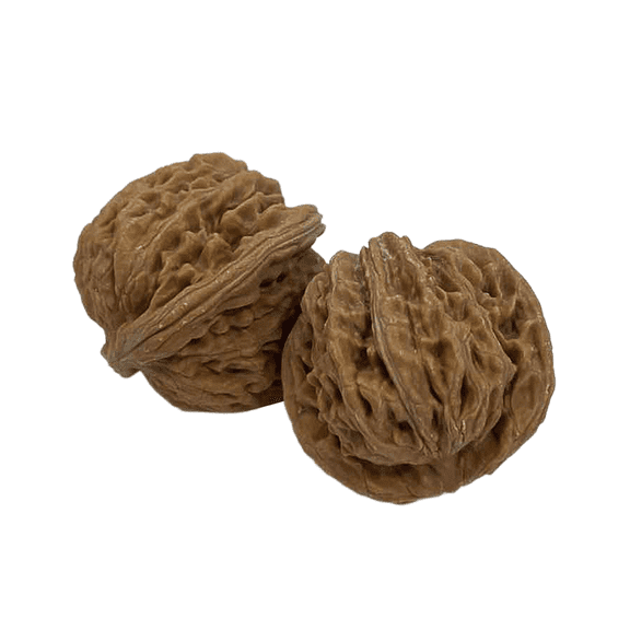 Chinese Walnut Baoding Balls Natural Deep Groove Hand Exercise Therapy Walnuts 1 Pair for Stress Relief Palm Dexterity and Reusable Massage Care