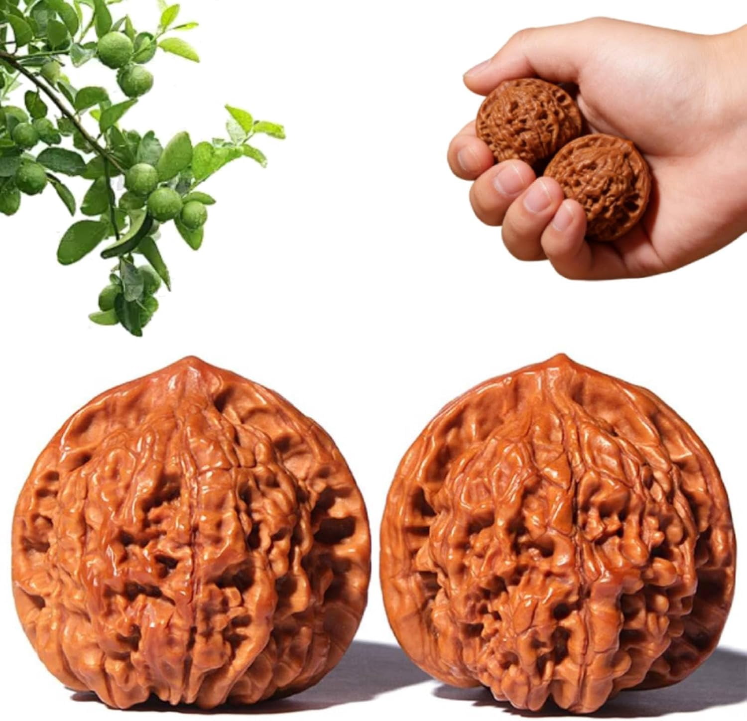 Chinese Walnuts Fidget, Wenwan Walnuts, Hand Training Massage Stress Relief, Walnut and Massage Stress Relief Health Care Ball Toys
