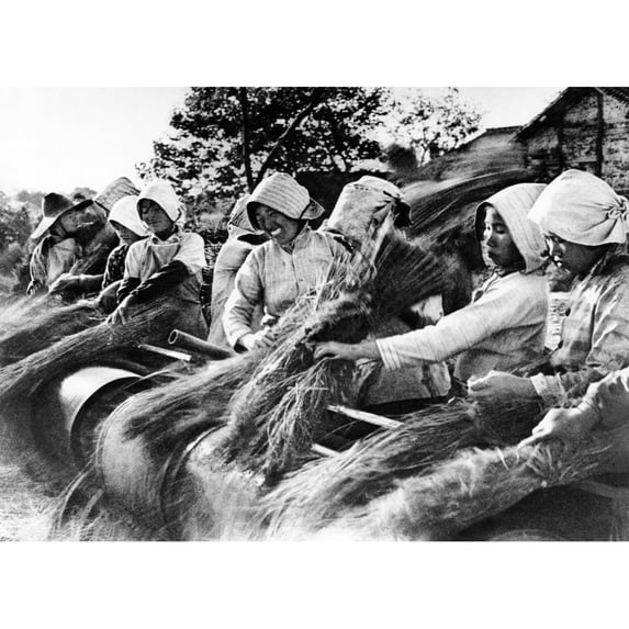 Chinese Women Peasants Thresh Rice By Hand With Traditional Technology. May 1970. Csu ArchivesEverett
