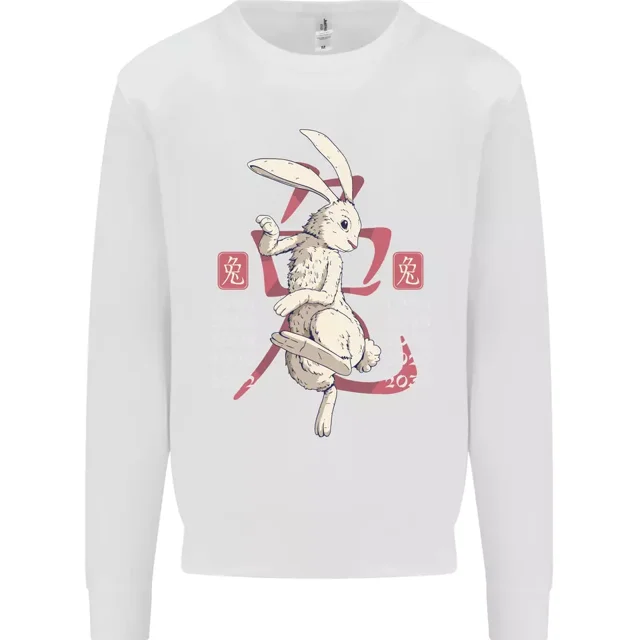 Chinese Zodiac Shengxiao Year of the Rabbit Mens Sweatshirt Jumper