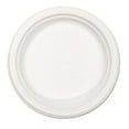 thumbnail image 1 of Chinet Paper Dinnerware Plate 8 3/4" dia White 500/Carton 21227, 1 of 2