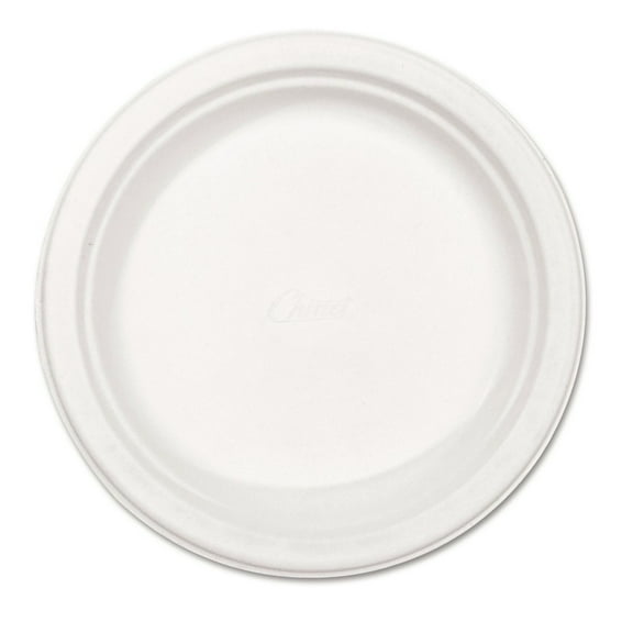 Chinet Paper Dinnerware Plate 8 3/4" dia White 500/Carton 21227
