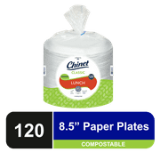 Chinet Classic Lunch Plate, 8 3/4", White, 120 Count