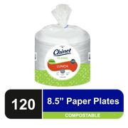 Chinet Classic Lunch Plate, 8 3/4", White, 120 Count
