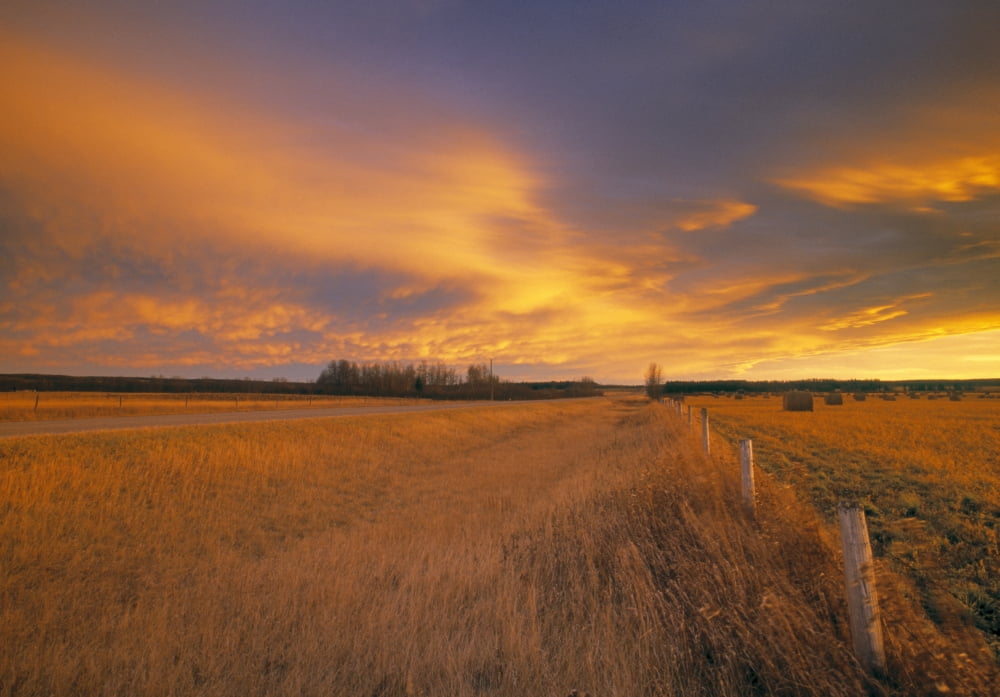 Chinook Arch At Sunset Near Bergen Alberta Canada Canvas Art - Darwin Wiggett Design Pics (16 x 11)
