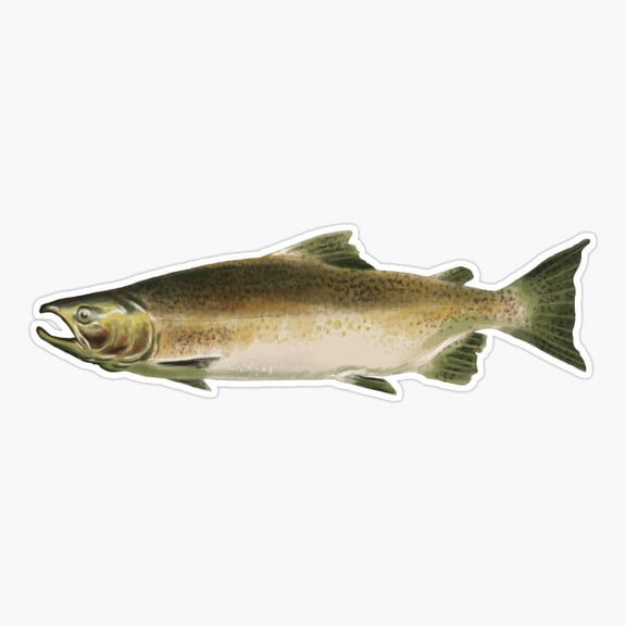 Chinook Salmon Ocean Fish Sticker