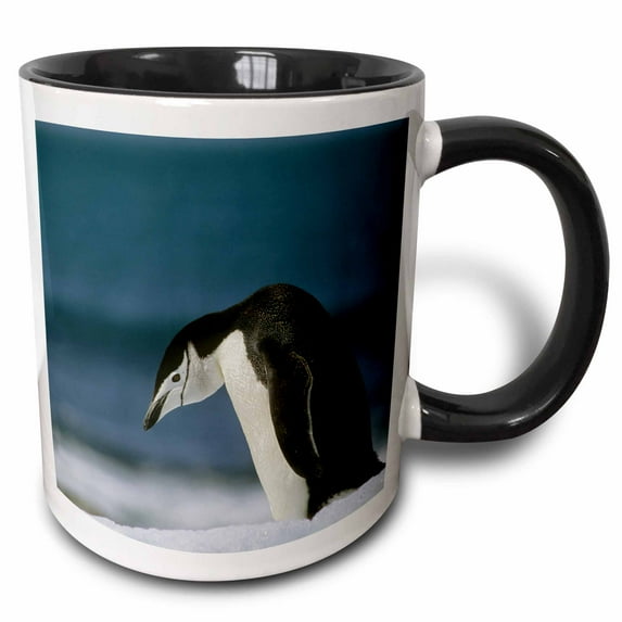 3drose, Chinstrap Penguin, Antarctica.-an02 Ksc0039 - Kevin Schafer, 11oz Two-tone Black Mug