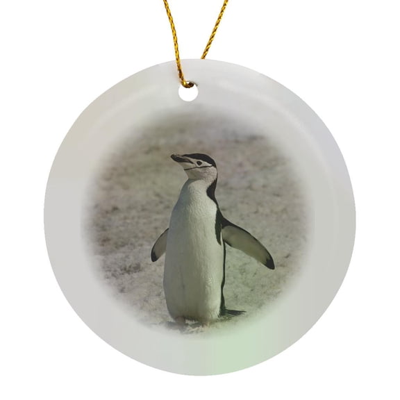 3drose, Chinstrap Penguin, Glacial Ice Cap, Antarctica-an02 Ska0087 - Steve Kazlowski, Circle Porcelain Ornament