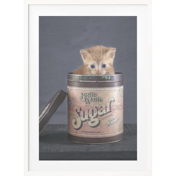 Chip Framed Art Modern Wall Decor