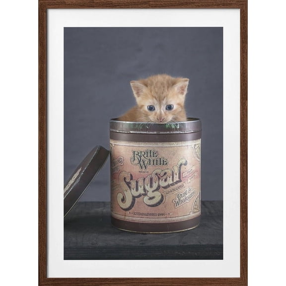 Chip Framed Art Modern Wall Decor