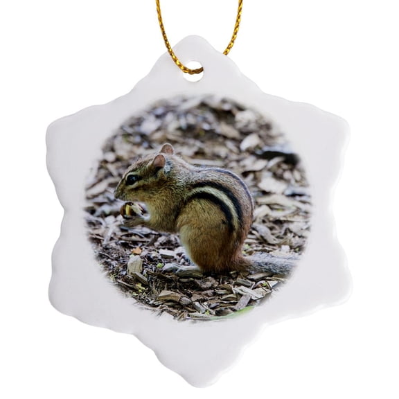3drose, Chipmunk Eating a Nut, 3 inch Snowflake Porcelain Ornament