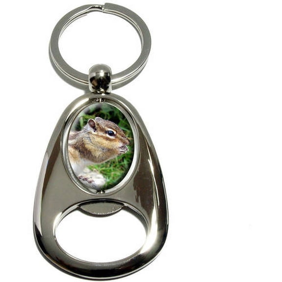 Chipmunk Eating, Chrome Plated Metal Spinning Oval Design Bottle Opener Keychain Key Ring