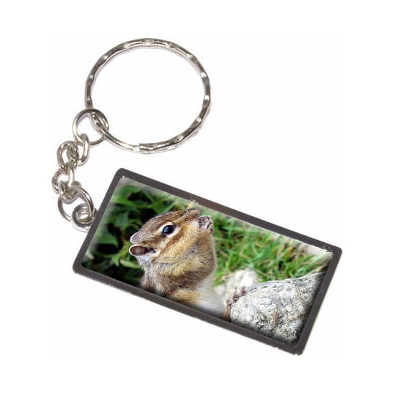 Chipmunk Eating Keychain Key Chain Ring