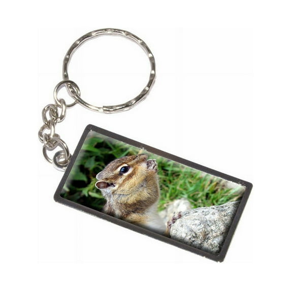 Chipmunk Eating Keychain Key Chain Ring