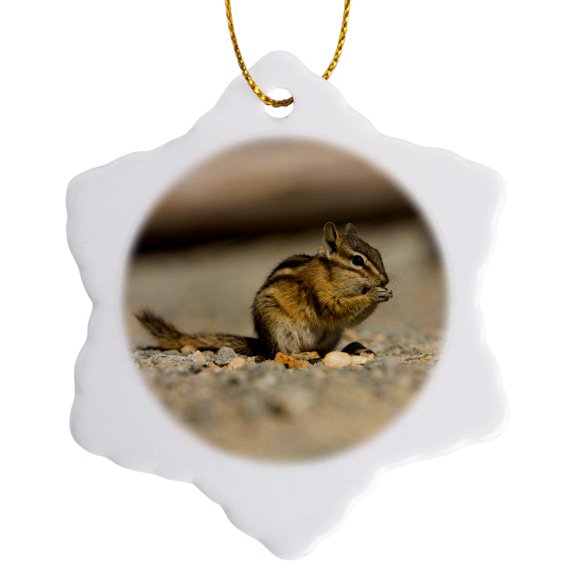 3drose, Chipmunk Near Whistler in Early Fall, British Columbia, Canada, 3 inch Snowflake Porcelain Ornament