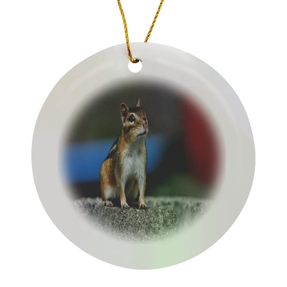 3drose, Chipmunk Posing for a Picture, Circle Porcelain Ornament