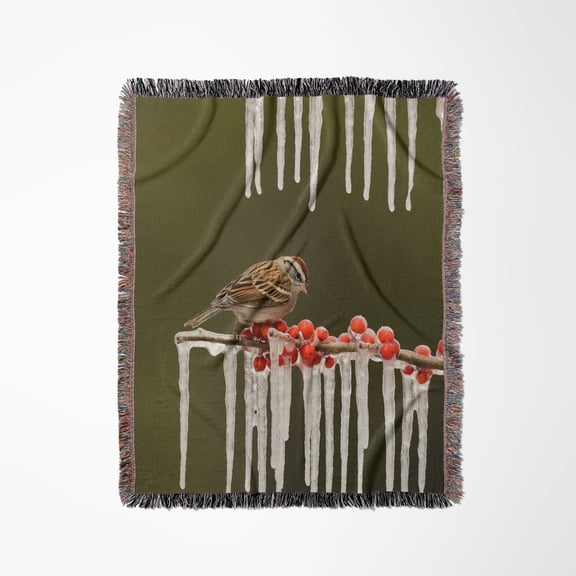 Chipping Sparrow Perched On Icy Branch, Hill Country, Texas, Woven Blanket