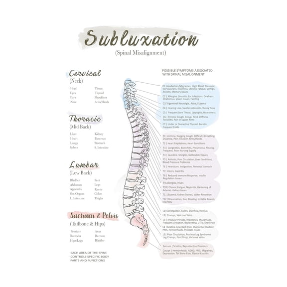 Chiropractic Anatomy Poster Subluxation Diagram Spinal Nerve Chart Vertical Wall Art for Doctors Office Clinical Education Decor Canvas Art Print