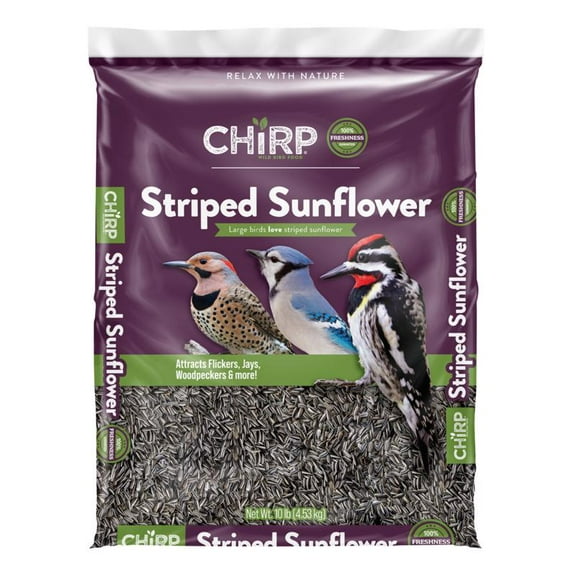Chirp Straight Seeds Wild Bird Seed 10 lb