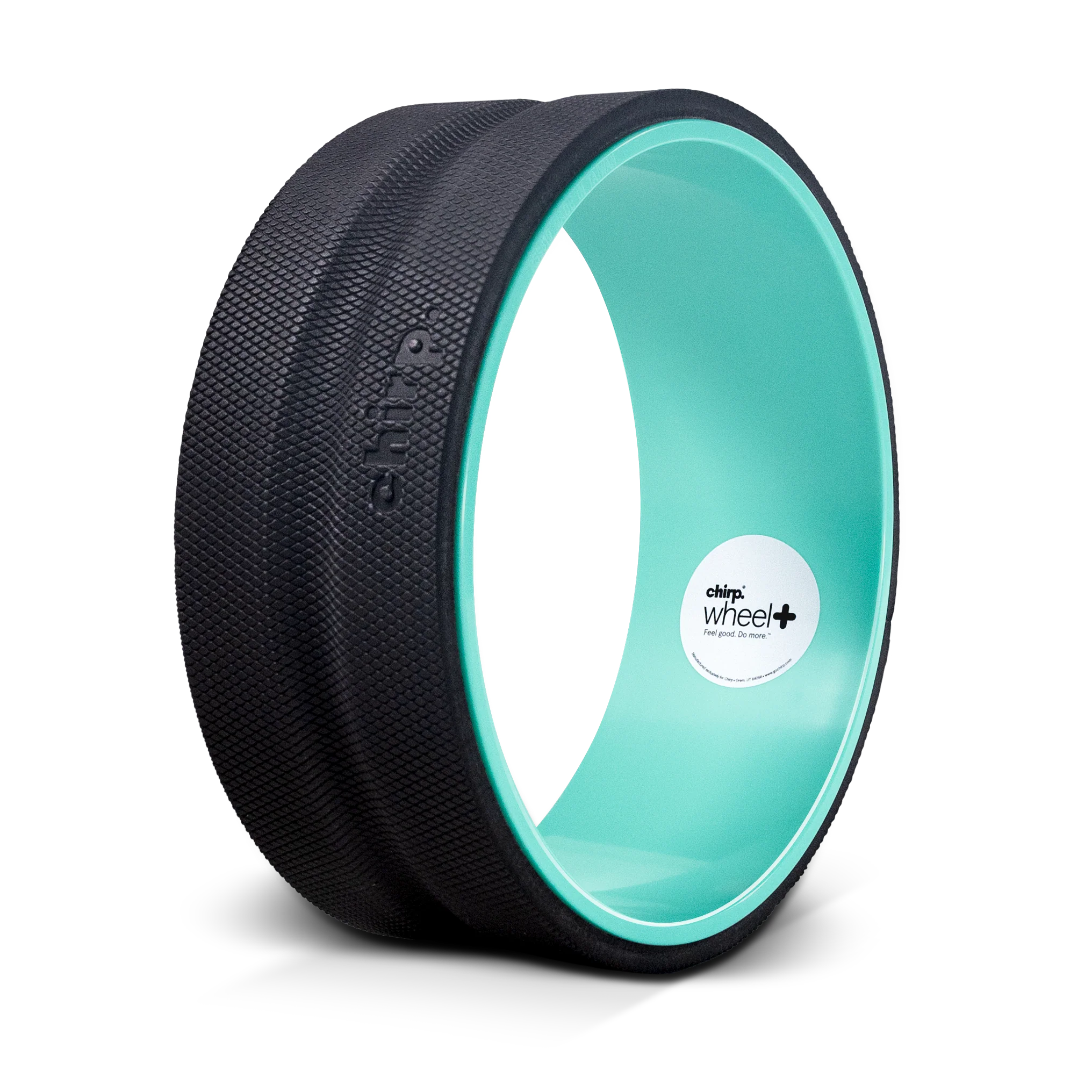 Chirp wheel online workout