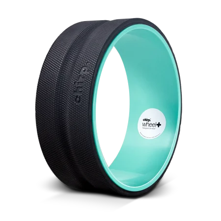 Chirp - Wheel+ 12" Gentle - Mint