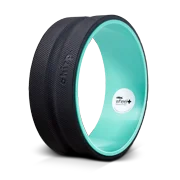 Chirp Wheel Plus 12 - DTC