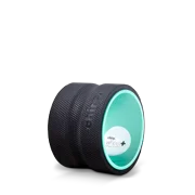 Chirp Wheel Plus 6 - DTC