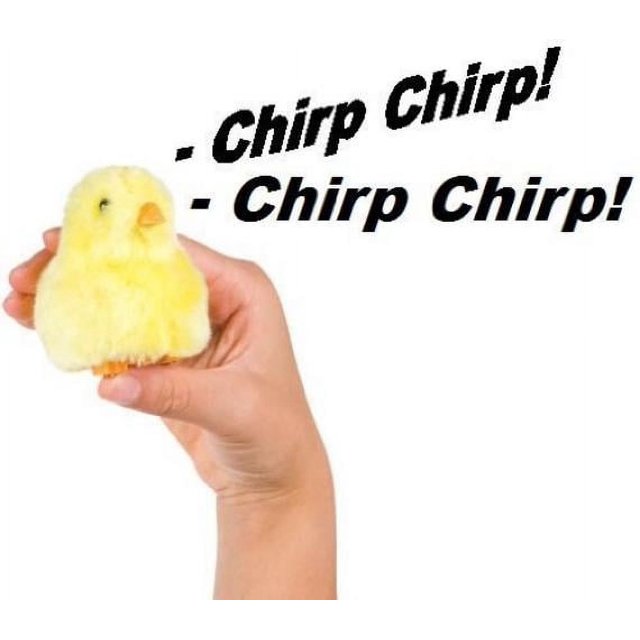 Chirpin' Chick Novelty Toy