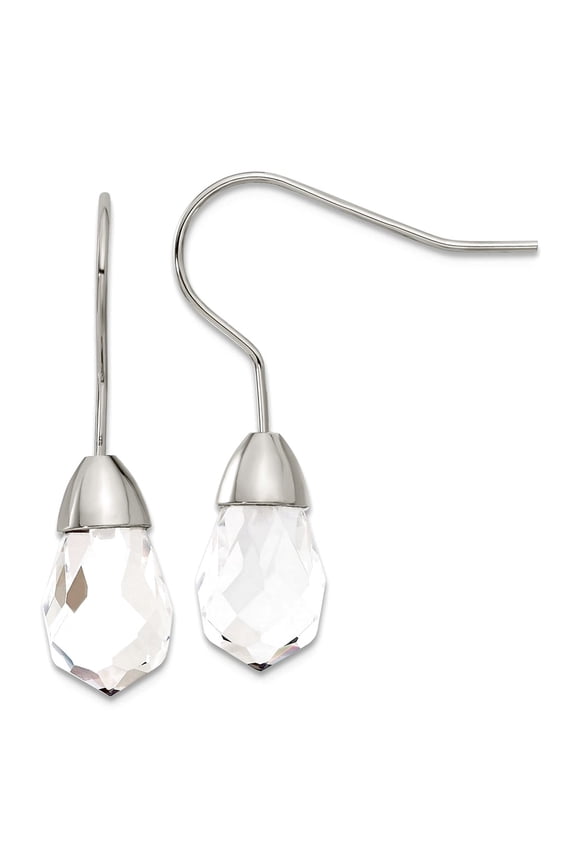 Chisel Stainless Steel Polished Glass Shepherd Hook Earrings