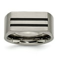 thumbnail image 1 of Chisel Titanium Brushed Black Enamel Stripes 10mm Band, 1 of 7