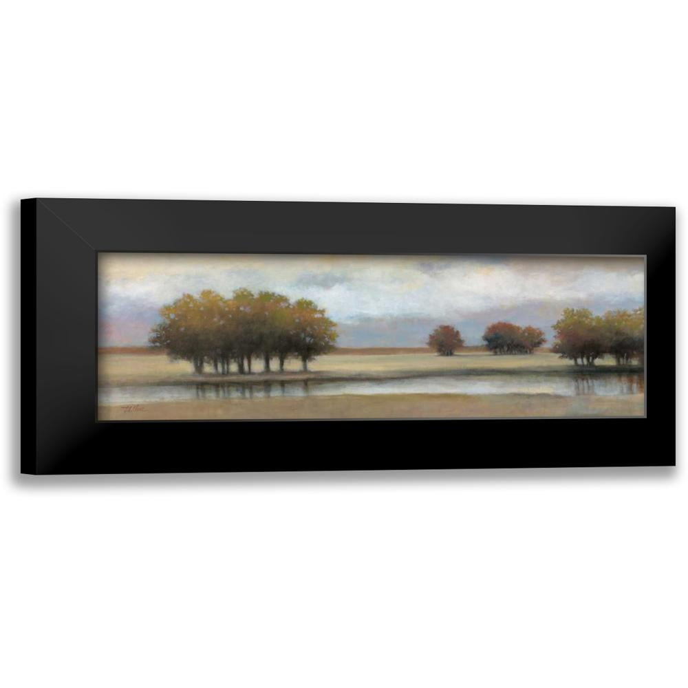 Chiu, T.C. 18x9 Black Modern Framed Museum Art Print Titled - Lazy ...