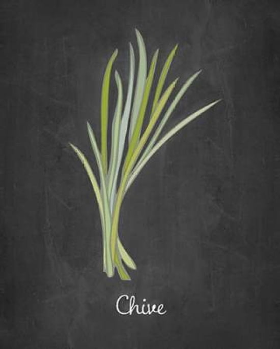 Chive Canvas Art - Amy Cummings (24 x 30)