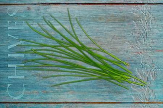 Chives Garden Herbs Canvas Art - Cora Niele (12 x 18)