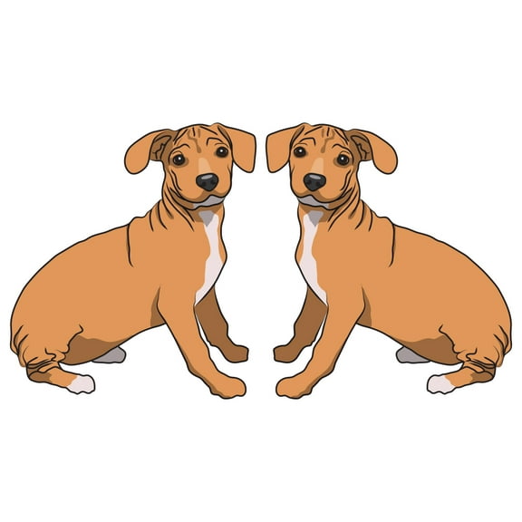 Chiweenie Decal | Indoor/Outdoor | Dog Lover Super Cute Sticker for SUV Windows, Dorm Rooms, Bedroom, Offices | SignMission personalized gift | 2 Pack of 6"