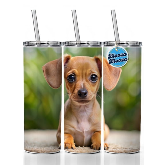 Chiweenie Dog Puppy Photo 20oz Insulated Water Bottle Skinny Tumbler Includes Straw