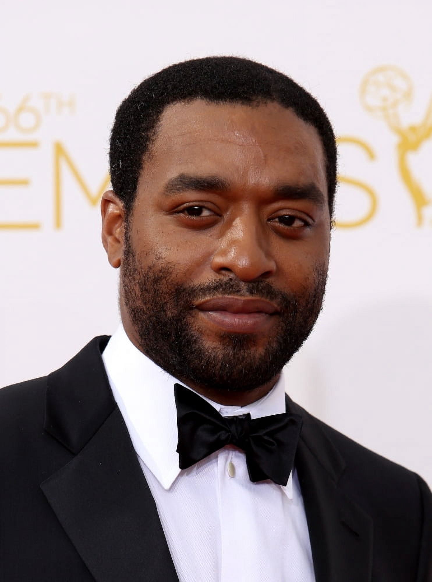 Chiwetel Ejiofor At Arrivals For The 66Th Primetime Emmy Awards 2014 Emmys - Part 2 Canvas Art - (16 x 20)