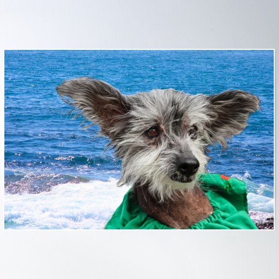 Chloe In California Poster Wall Art, Modern Wall Decor For Living Room Bedroom, 8x12 UNFRAMED