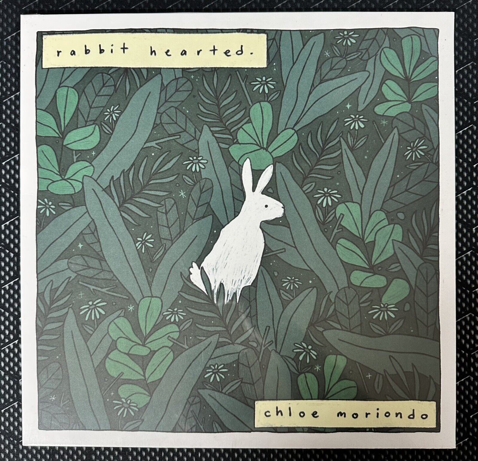 Chloe Moriondo’s Rabbit Hearted Vinyl x/500 White Green Swirl - Walmart.com