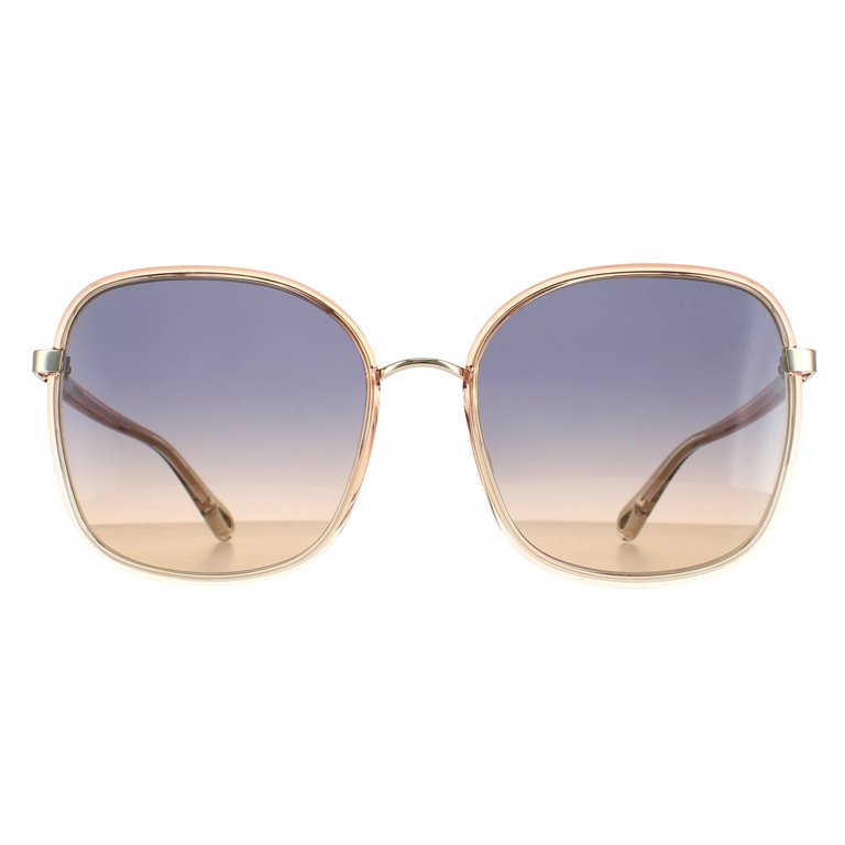 Chloe CH 0030S Plastic Womens Butterfly Sunglasses  display picture 1